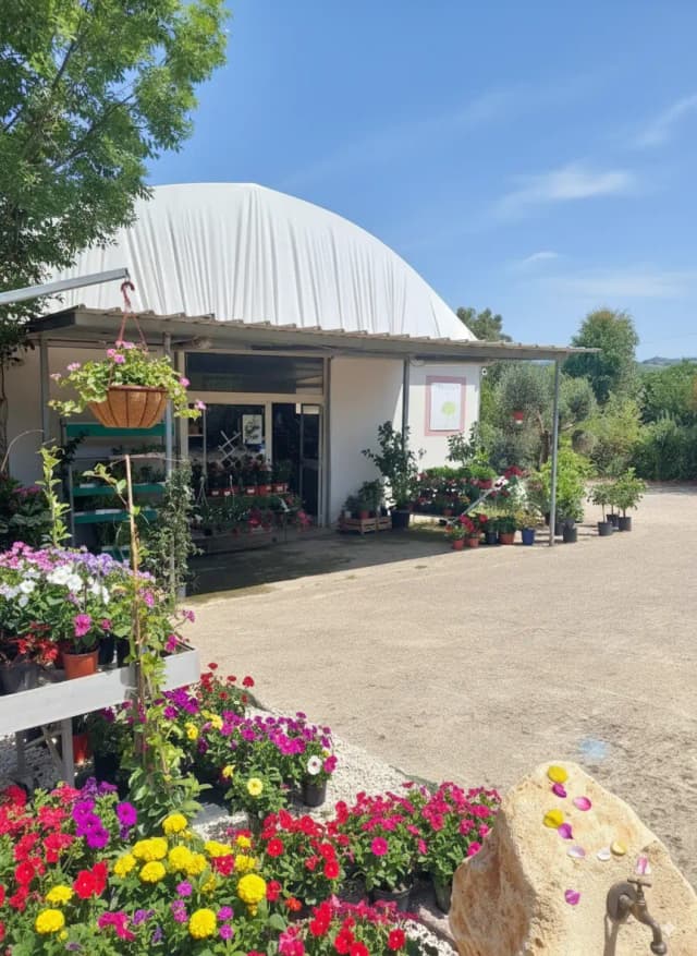 Il nostro vivaio - Salice Garden